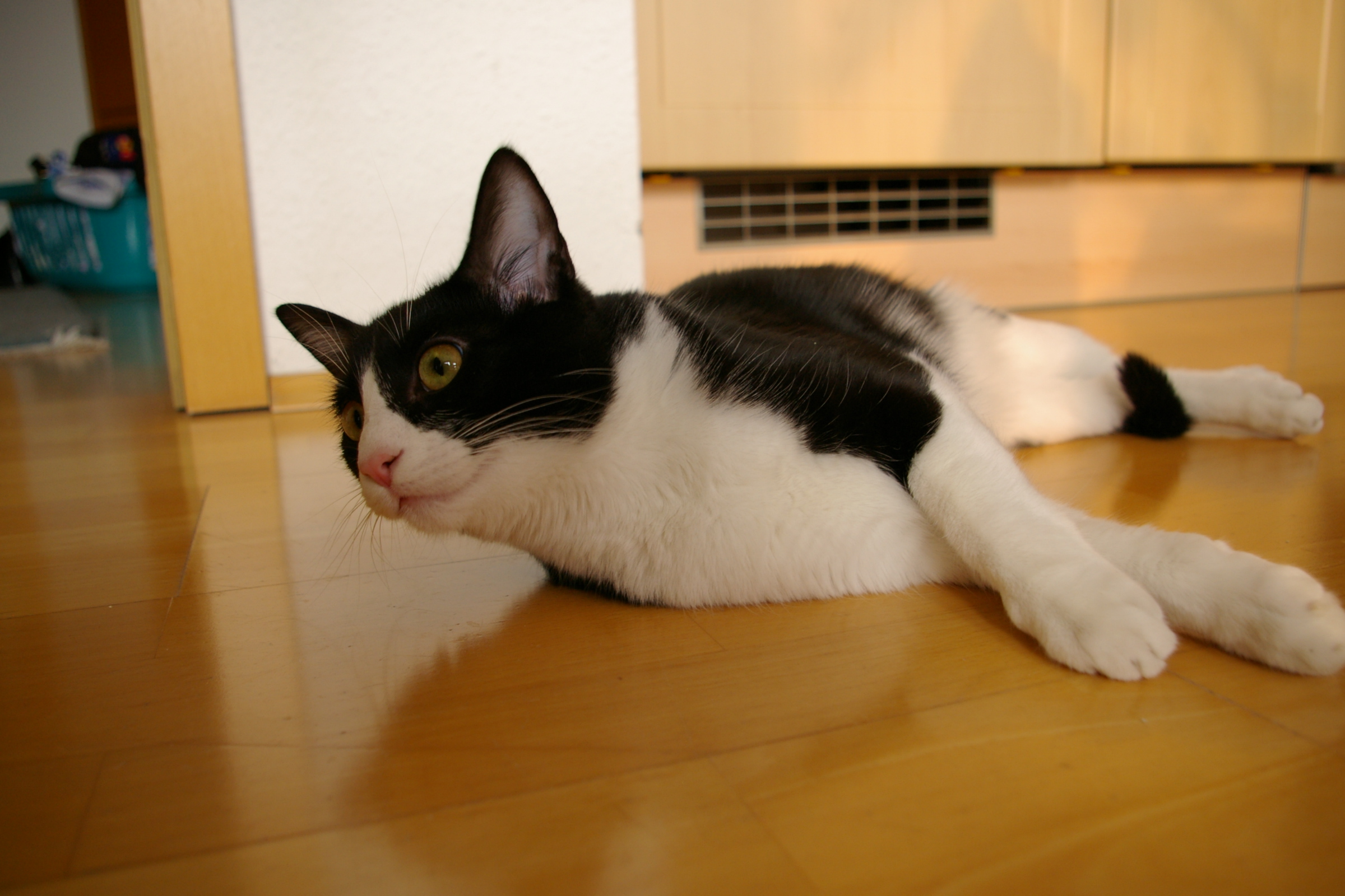IMGP2392.JPG