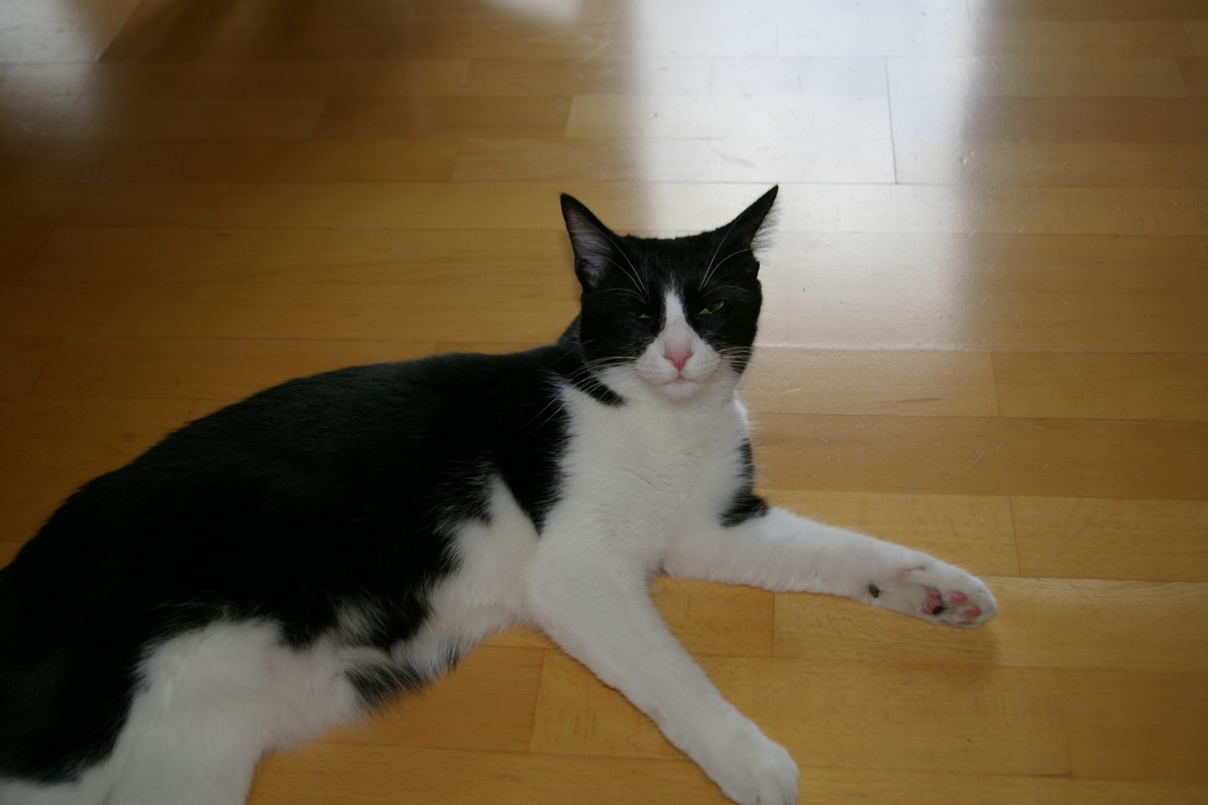 IMGP2482.JPG