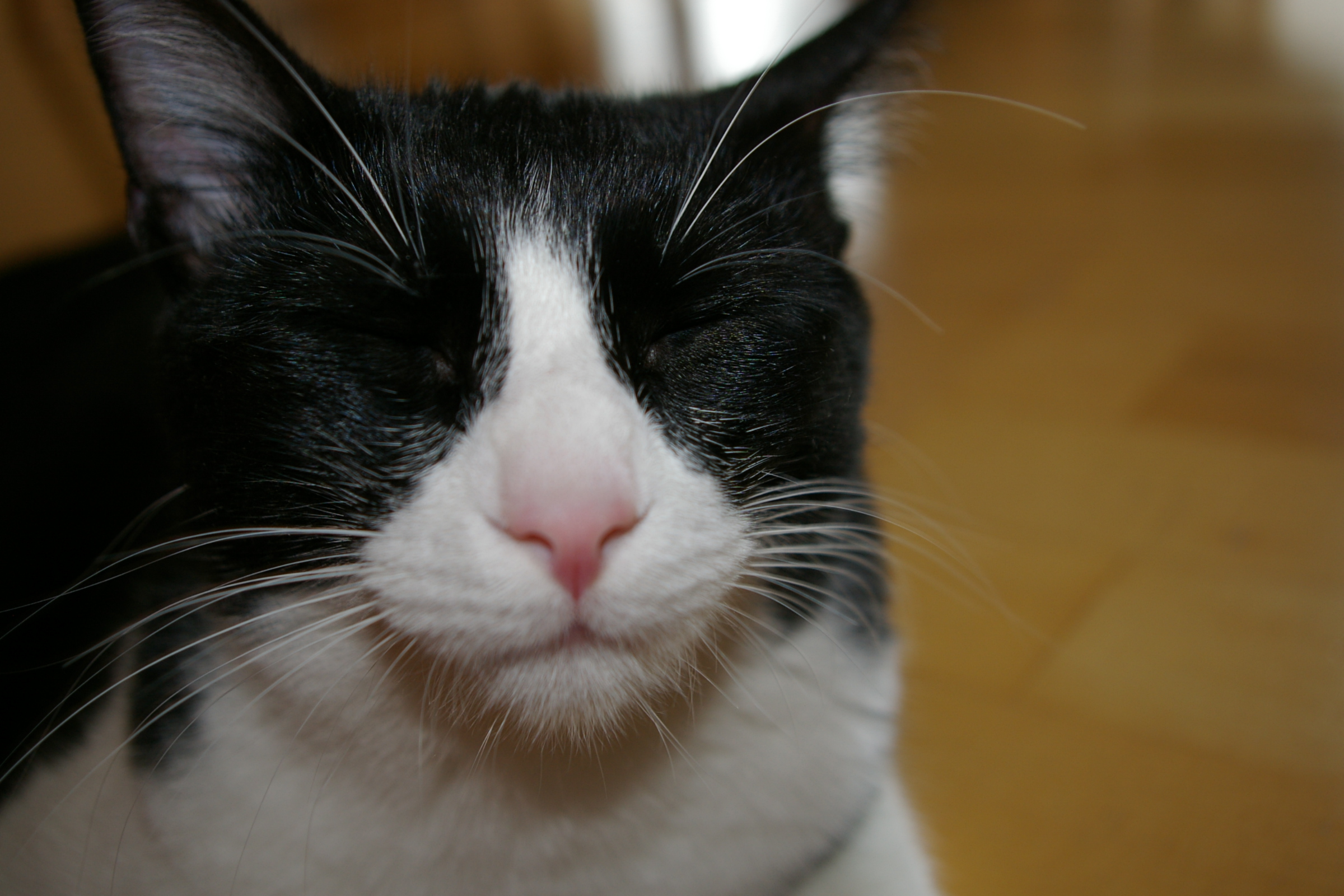 IMGP2484.JPG